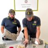 Cocaina, marijuana e un revolver due arresti in Gallura