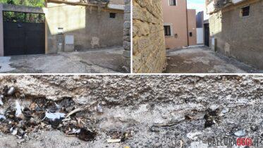 Degrado e inciviltà nel centro di Arzachena