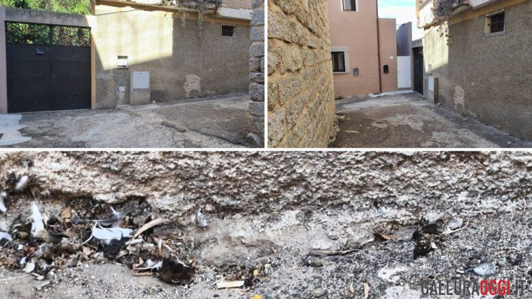 Degrado e inciviltà nel centro di Arzachena