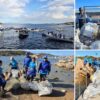 la maddalena un arcipelago senza plastica 10 ottobre 2026