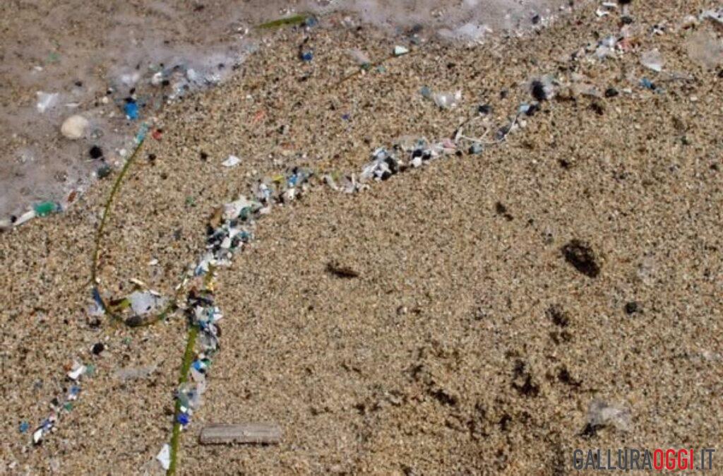 microplastiche spiaggia mare gallura