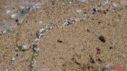 microplastiche spiaggia mare gallura