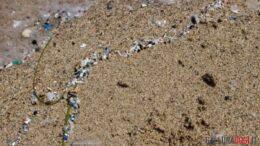 microplastiche spiaggia mare gallura