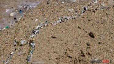 microplastiche spiaggia mare gallura